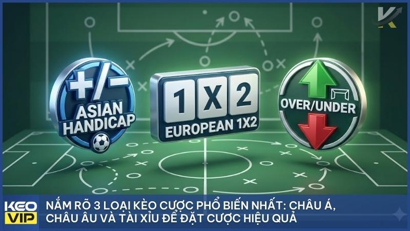 Người chơi muốn soi kèo hiệu quả cần hiểu rõ kèo Châu Á Châu Âu và Tài Xỉu