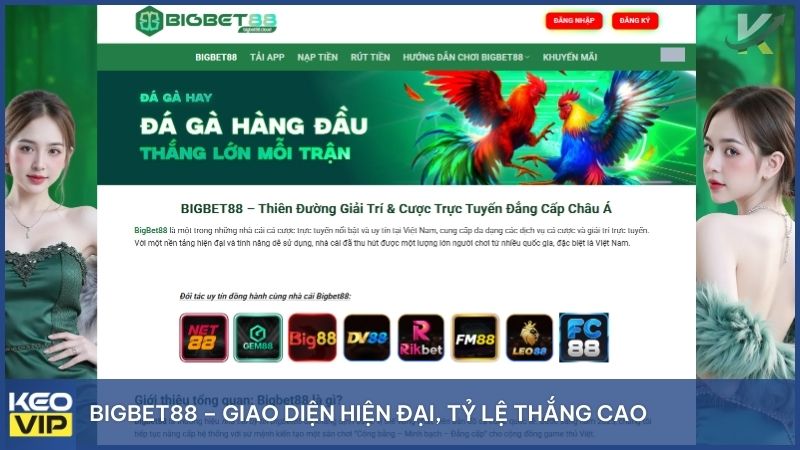 Top Những Nhà Cái Có Tỷ Lệ Ăn Cao Nhất 2025 & Kinh Nghiệm Soi Kèo "Xương Máu" 3 Bigbet88 cloud là nhà cái hàng đầu chuyên cung cấp dịch vụ cá cược trực tuyến với nhiều loại hình giải trí hấp dẫn