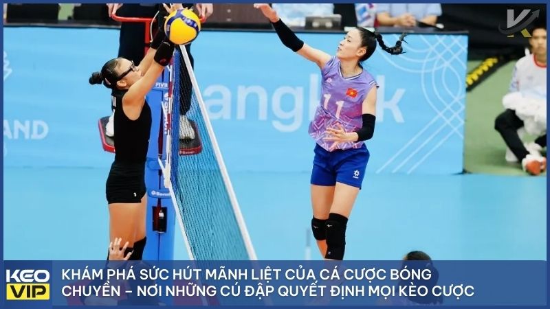 Cá Cược Bóng Chuyền A-Z: Bí Kíp Soi Kèo Và Kinh Nghiệm Thắng Lớn Tại Keonhacai5 1 Khám phá sức hút mãnh liệt của cá cược bóng chuyền – nơi những cú đập sấm sét quyết định vận mệnh của mọi kèo cược.