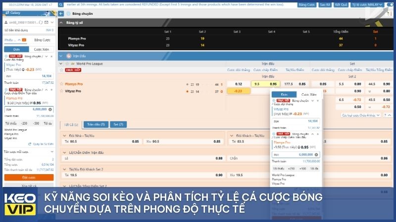 Cá Cược Bóng Chuyền A-Z: Bí Kíp Soi Kèo Và Kinh Nghiệm Thắng Lớn Tại Keonhacai5 3 Kỹ năng soi kèo và phân tích tỷ lệ cá cược bóng chuyền dựa trên phong độ thực tế giúp nâng cao tỷ lệ chiến thắng