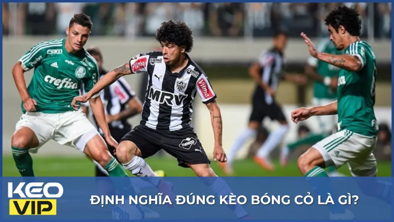 Kèo Bóng Cỏ Là Gì? Bí Kíp Soi Kèo Bóng Cỏ Trăm Trận Trăm Thắng 1 Kèo bóng cỏ là gì? Đây là thuật ngữ dùng để chỉ các trận đấu thuộc những giải bóng đá ít được truyền thông chú ý