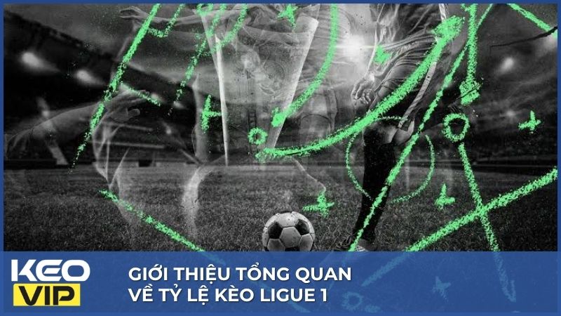 Tỷ lệ kèo Ligue 1 nổi bật khi Pháp nổi tiếng với các trận bóng hay