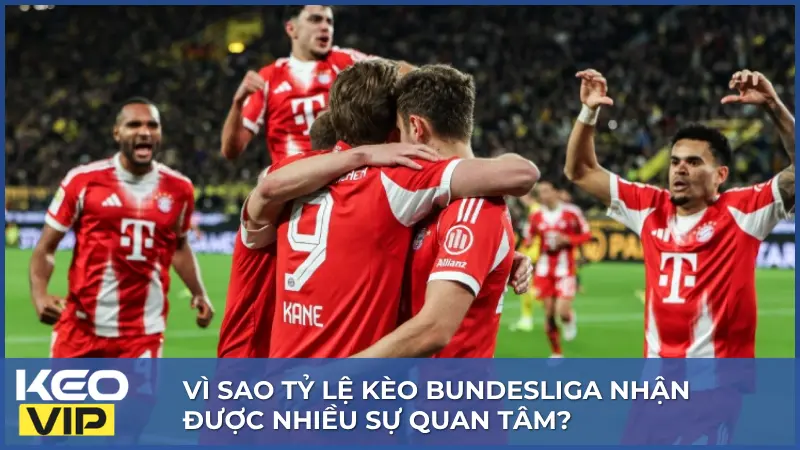 Bundesliga sở hữu nhiều yếu tố đặc trưng khiến tỷ lệ kèo luôn được người hâm mộ theo dõi